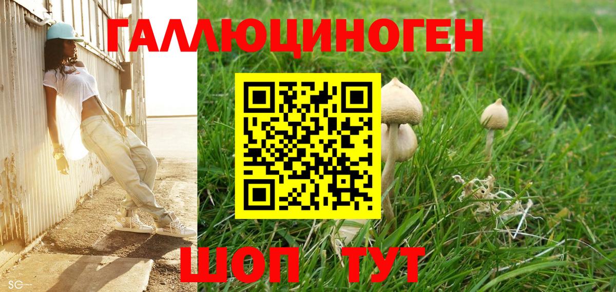 Псилоцибиновые грибы мицелий  Вход с VPN  Орск  Галлюциногенные грибы мухоморы 